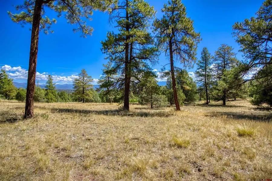 122 Yarrow Circle, Pagosa Springs, CO 81147 - #2