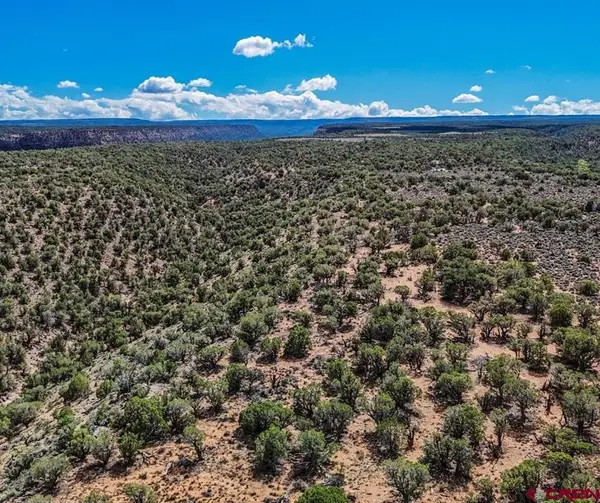 TBD Tract 33 Beaver Hill Heights, Montrose, CO 81403