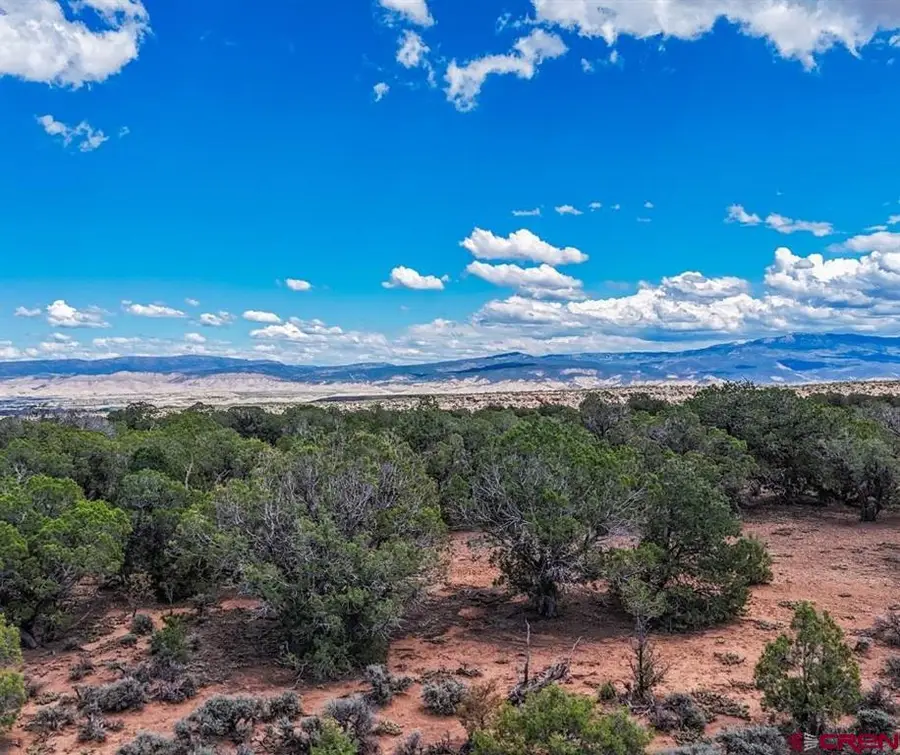 TBD Tract 33 Beaver Hill Heights, Montrose, CO 81403 - #3
