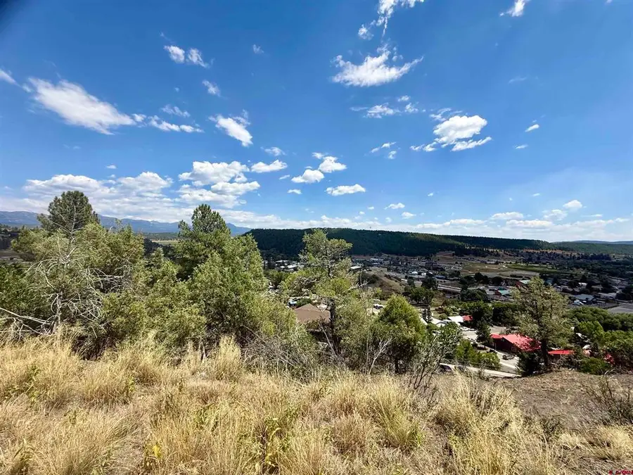 x N 8th Street, Pagosa Springs, CO 81147 - #2