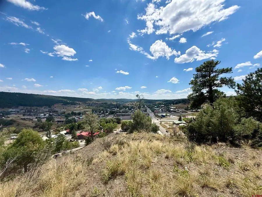 x N 8th Street, Pagosa Springs, CO 81147 - #3