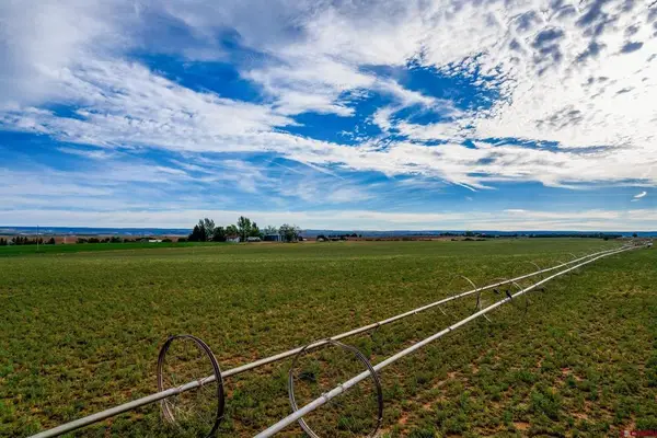 TBD Road 15, Pleasant View, CO 81331