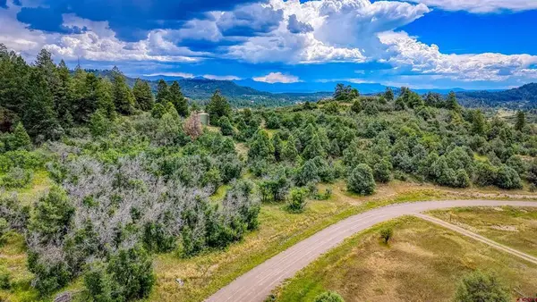1698 Roush Drive, Pagosa Springs, CO 81147