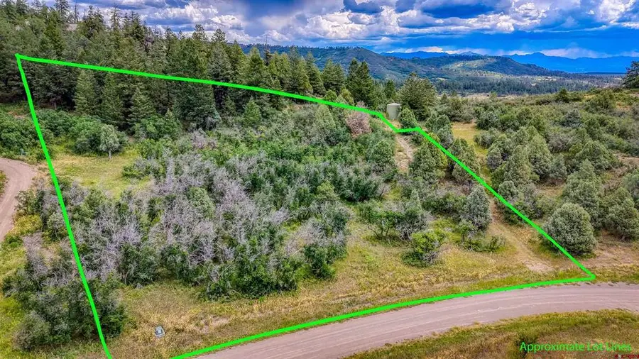 1698 Roush Drive, Pagosa Springs, CO 81147 - #2