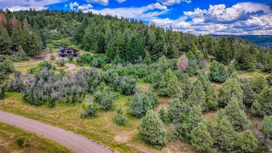 1698 Roush Drive, Pagosa Springs, CO 81147 - #3