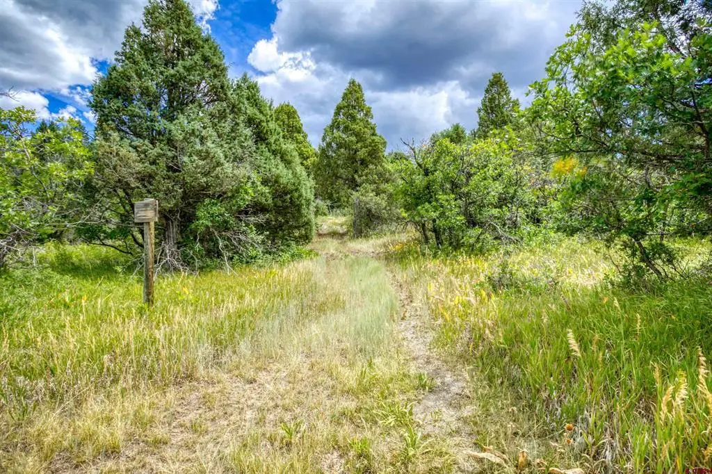 1742 Roush Drive, Pagosa Springs, CO 81147 - #1