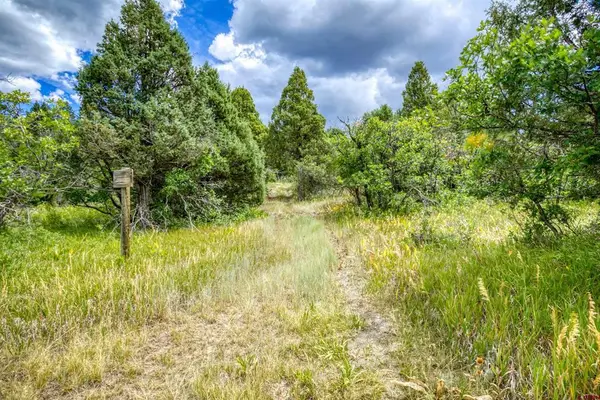 1742 Roush Drive, Pagosa Springs, CO 81147