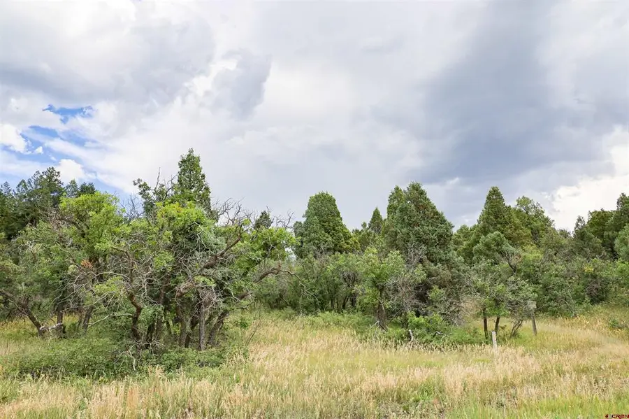 1742 Roush Drive, Pagosa Springs, CO 81147 - #2