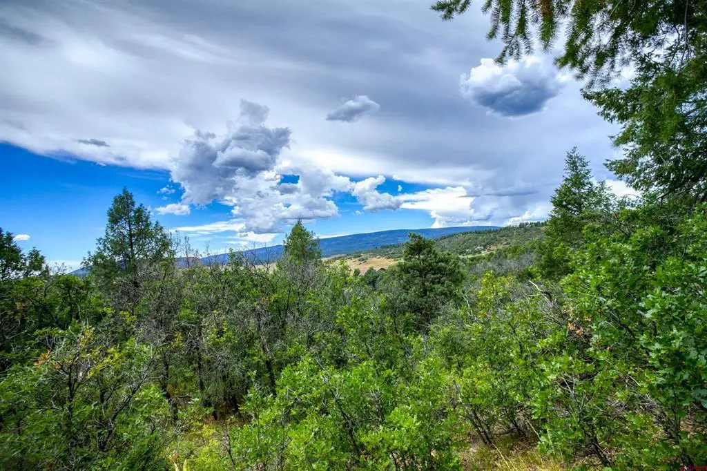 1698 & 1742 Roush Drive, Pagosa Springs, CO 81147 - #1