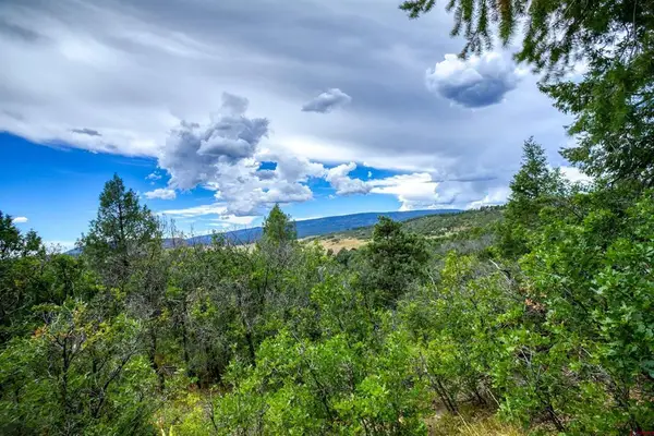 1698 & 1742 Roush Drive, Pagosa Springs, CO 81147