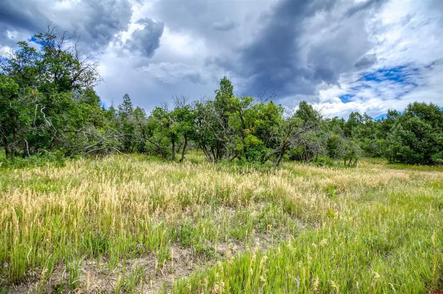1698 & 1742 Roush Drive, Pagosa Springs, CO 81147 - #3