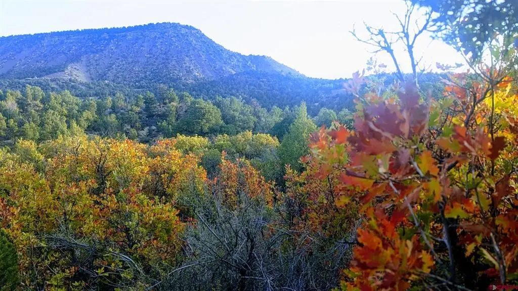 XXX Indian Route 111, Durango, CO 81303 - #1