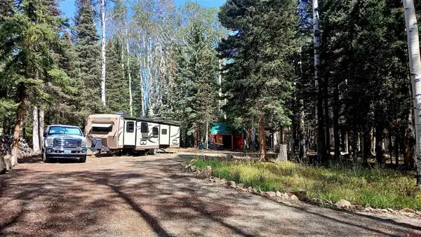 357 Wildflower Drive, Cimarron, CO 81220