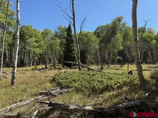 121 Ridge Road, Cimarron, CO 81220