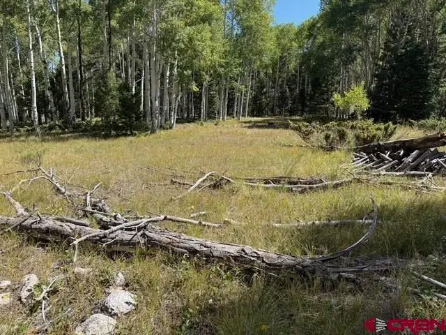 121 Ridge Road, Cimarron, CO 81220 - #2