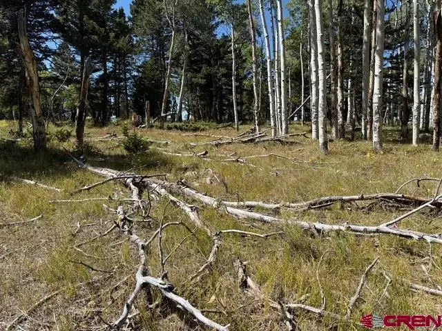121 Ridge Road, Cimarron, CO 81220 - #3