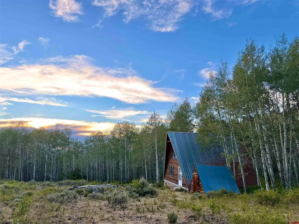 TBD Hwy 149 Road, Powderhorn, CO 81230 - #1