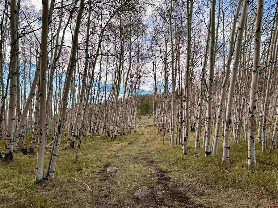 TBD Hwy 149 Road, Powderhorn, CO 81230 - #3