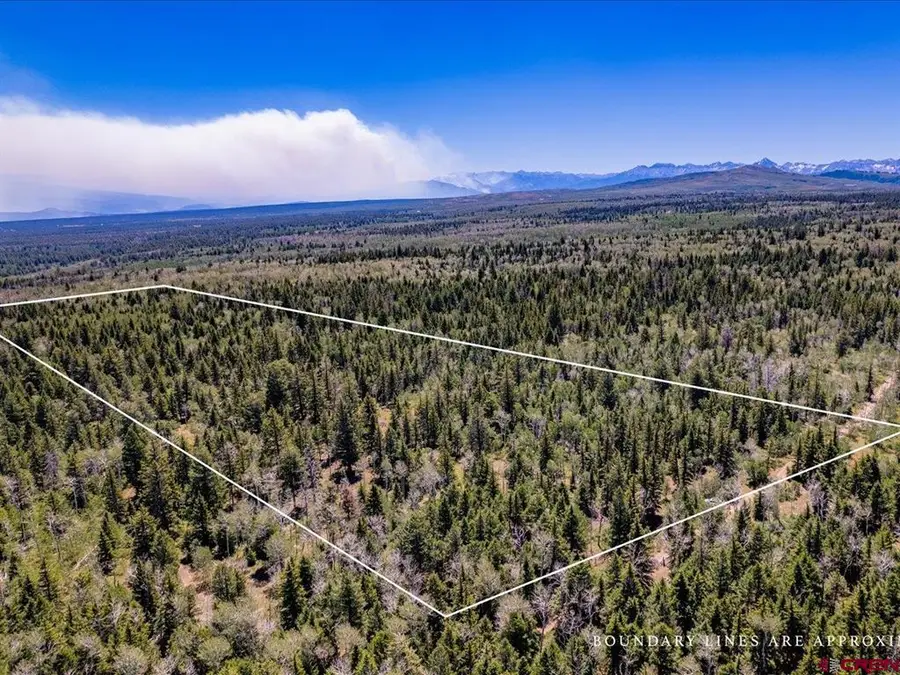 15283 Spring Creek Trail, Montrose, CO 81403 - #3