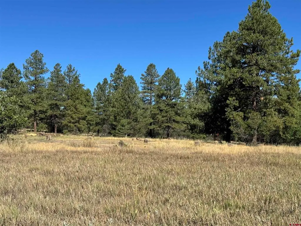 139 Coronado Circle, Pagosa Springs, CO 81147 - #1