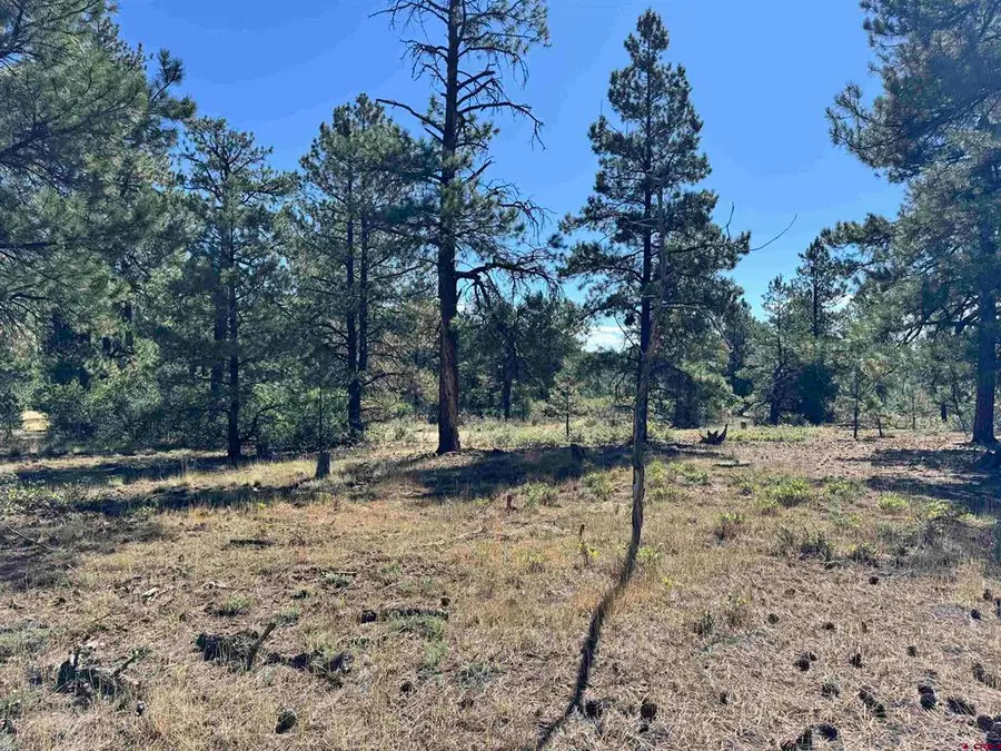 139 Coronado Circle, Pagosa Springs, CO 81147 - #2