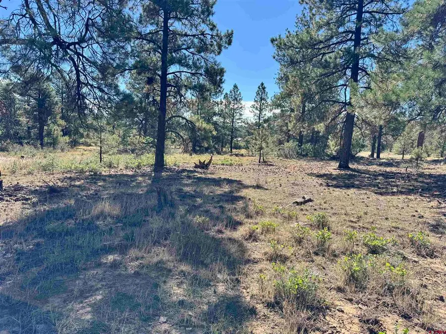139 Coronado Circle, Pagosa Springs, CO 81147 - #3
