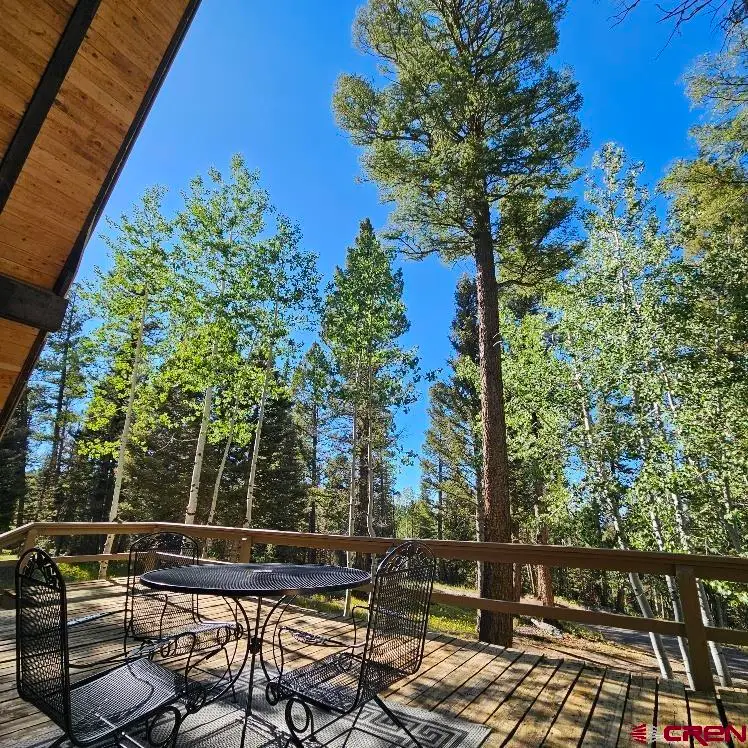 135 Ridge Road, Cimarron, CO 81220 - #2