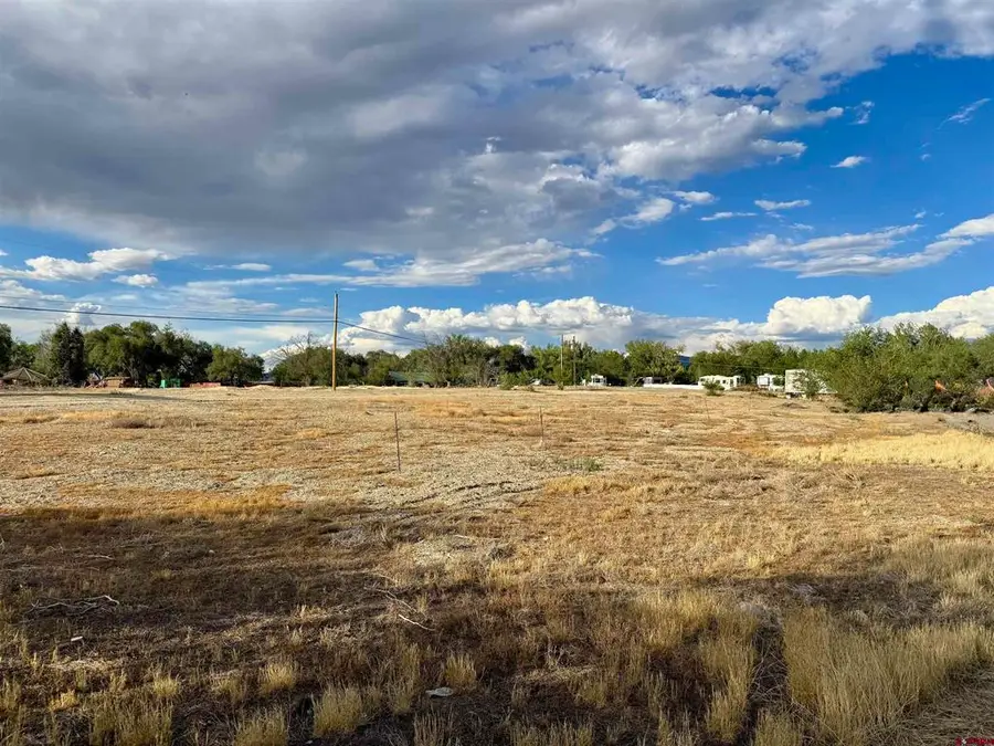 0 N Cedar Avenue, Montrose, CO 81401 - #3