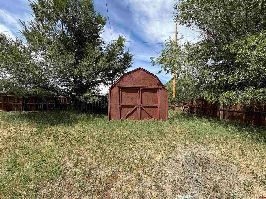 6919 Femmer Street, Alamosa, CO 81101 - #2