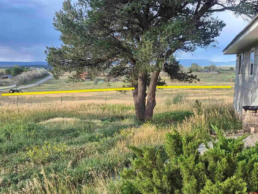 12 Cedar Drive, Norwood, CO 81423 - #2