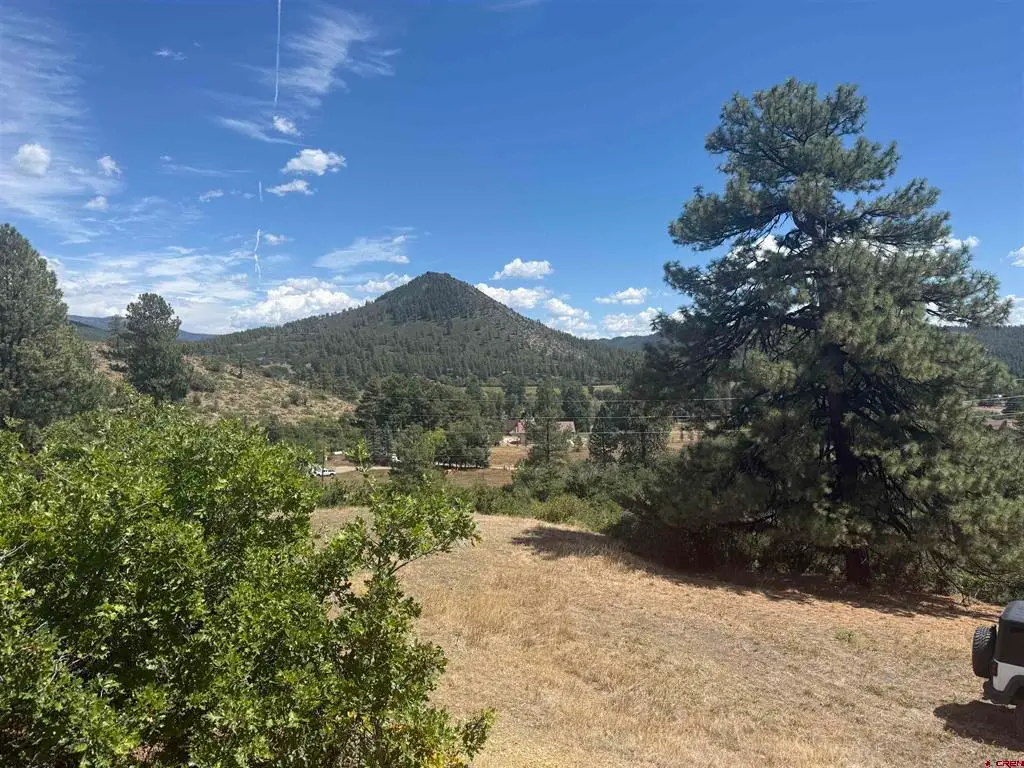 1134 Ludwig Drive, Bayfield, CO 81122 - #1