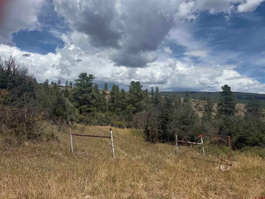 1134 Ludwig Drive, Bayfield, CO 81122 - #3