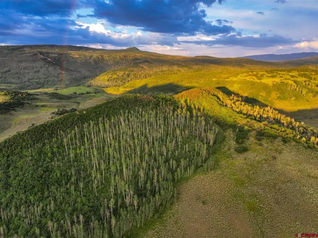 000 Cr 849, Somerset, CO 81434 - #1