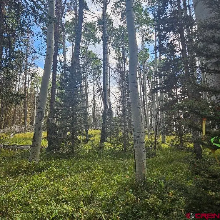 155 Aspen Trail, Cimarron, CO 81220 - #1
