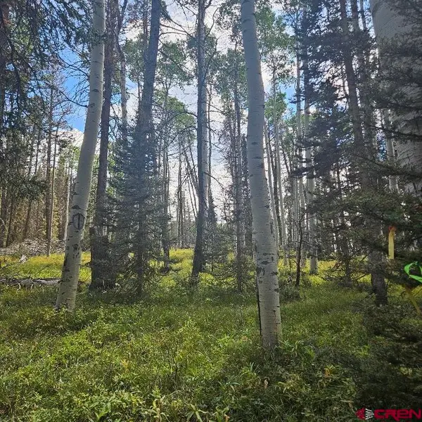 155 Aspen Trail, Cimarron, CO 81220