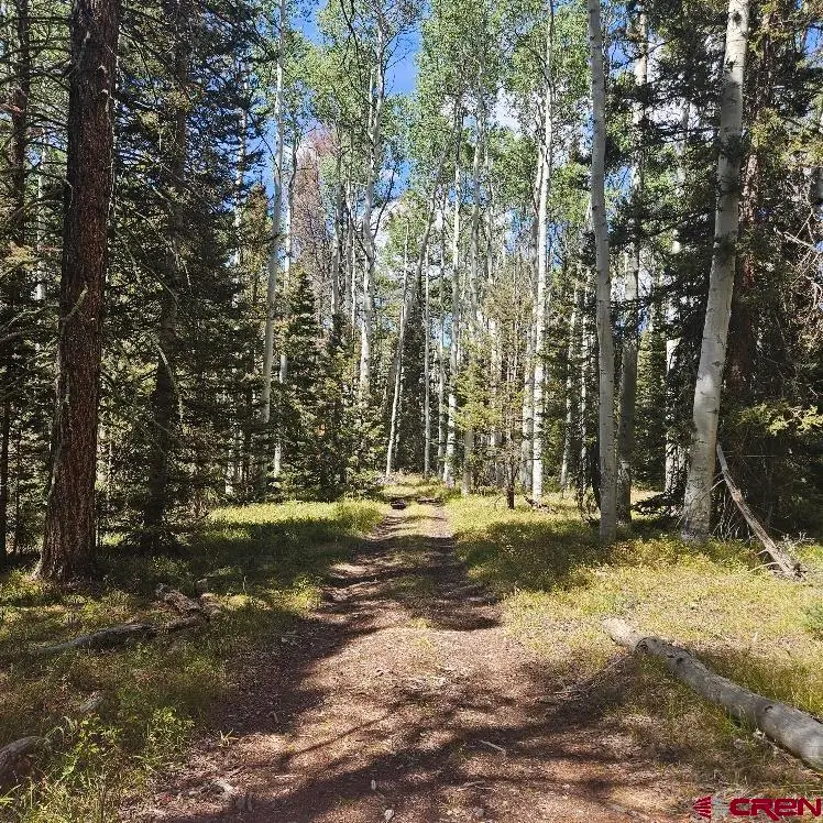 155 Aspen Trail, Cimarron, CO 81220 - #2