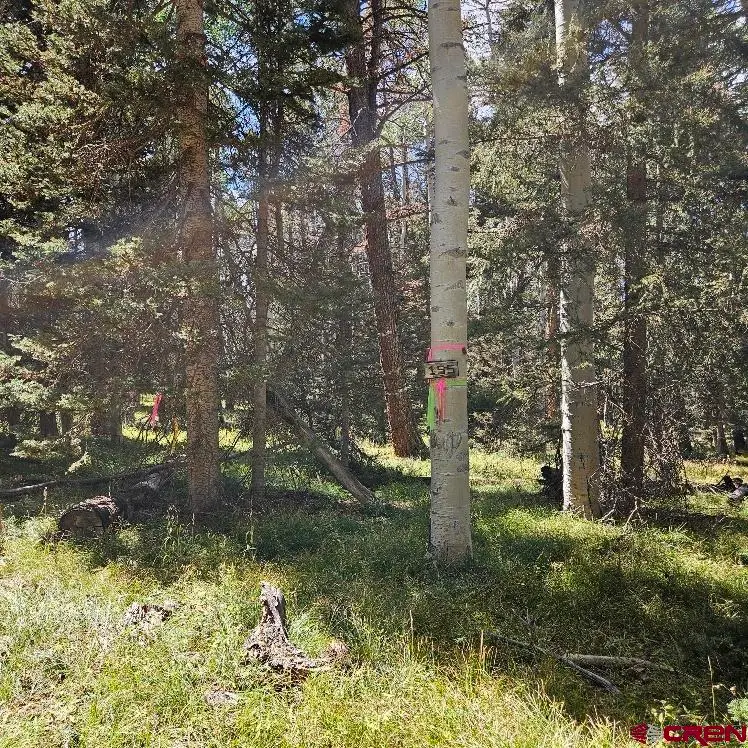 155 Aspen Trail, Cimarron, CO 81220 - #3