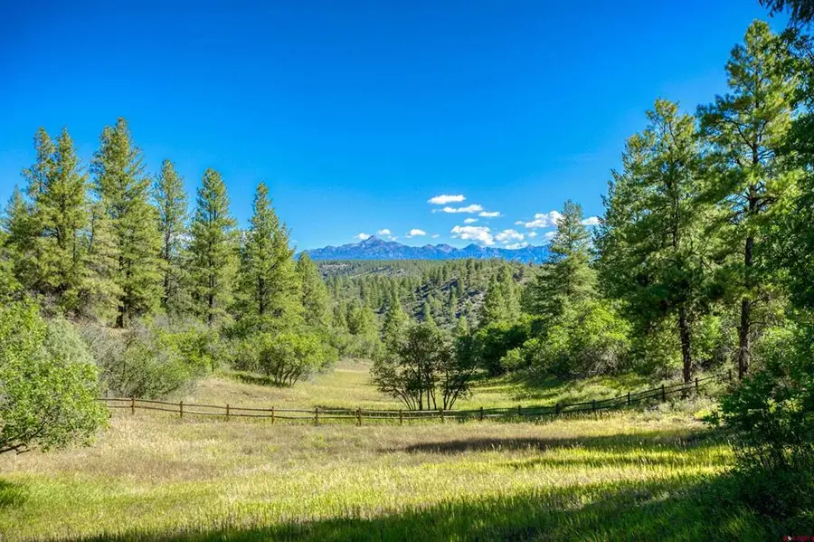 437 Haley Place, Pagosa Springs, CO 81147 - #2