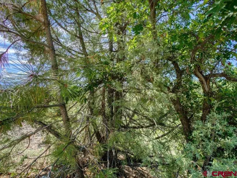 27 D Place, Pagosa Springs, CO 81147 - #3