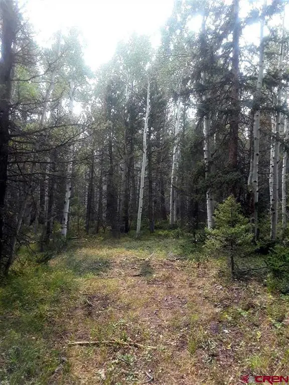 425 Crest Drive, Cimarron, CO 81220 - #1