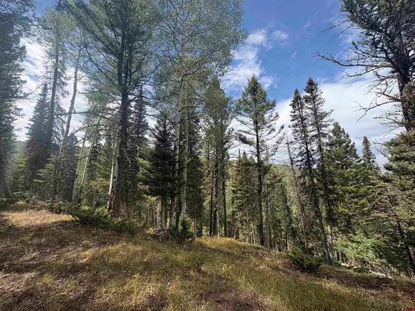 425 Rim Road, Cimarron, CO 81220