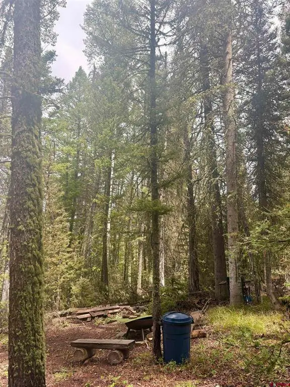 425 Rim Road, Cimarron, CO 81220 - #2