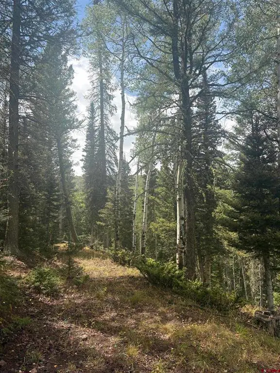 425 Rim Road, Cimarron, CO 81220 - #3