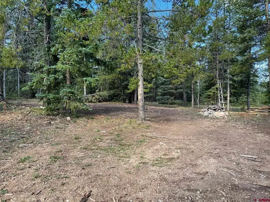 TBD Lime Cliff Drive, Pitkin, CO 81241 - #3