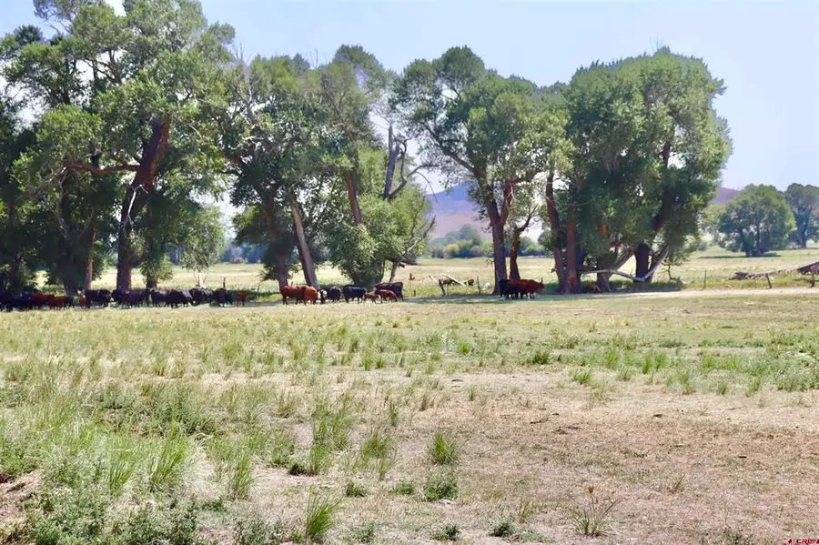 TBD Co Rd 14a, Del Norte, CO 81132 - #2