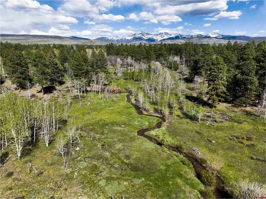44500 Ditches Road, Mancos, CO 81328 - #2