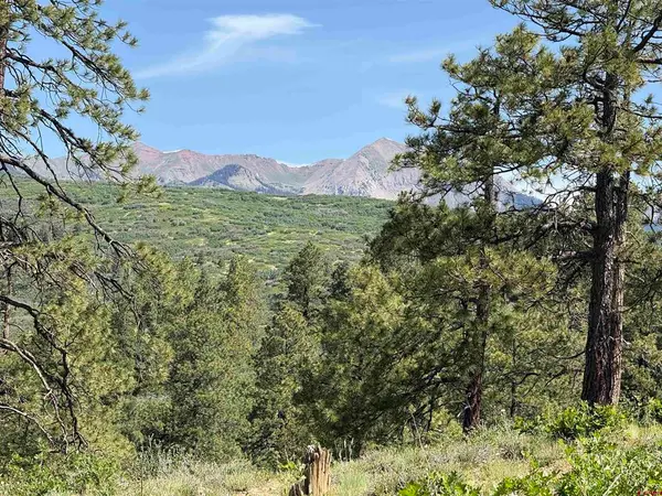 1649 Sheep Springs Road, Durango, CO 81301