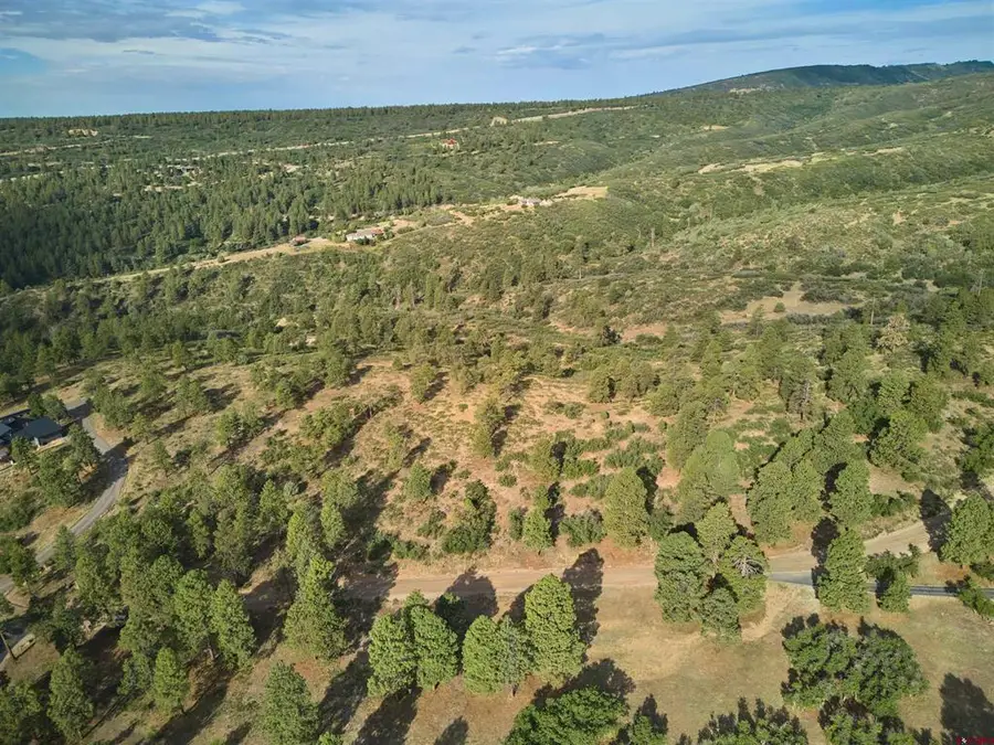 1649 Sheep Springs Road, Durango, CO 81301 - #3