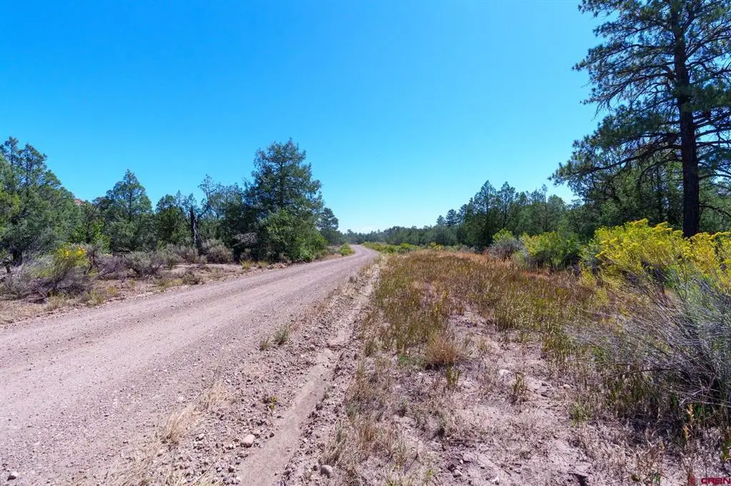 TBD Budd Road, Durango, CO 81303 - #1