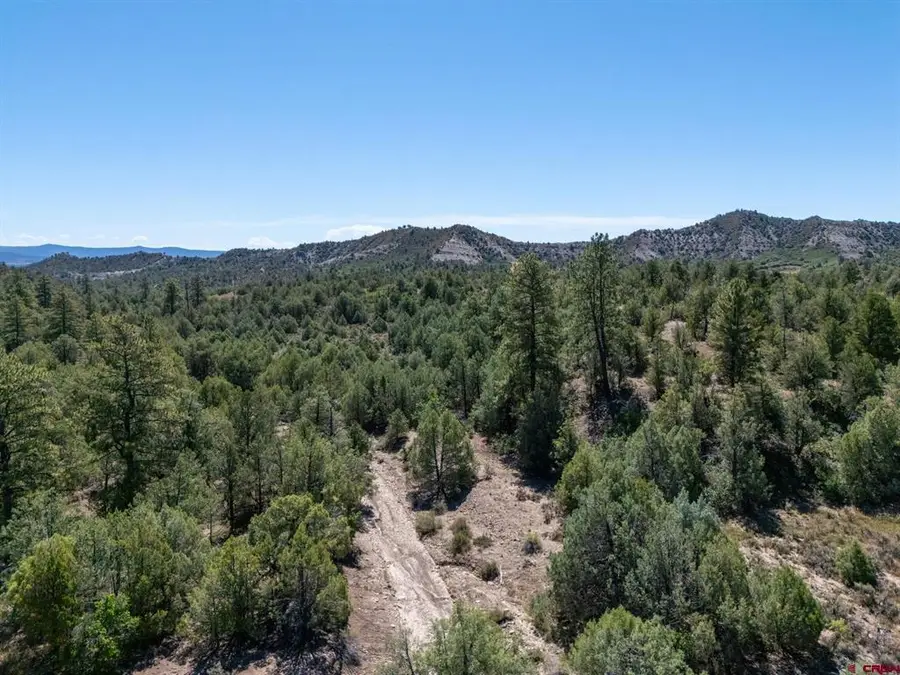 TBD Budd Road, Durango, CO 81303 - #2